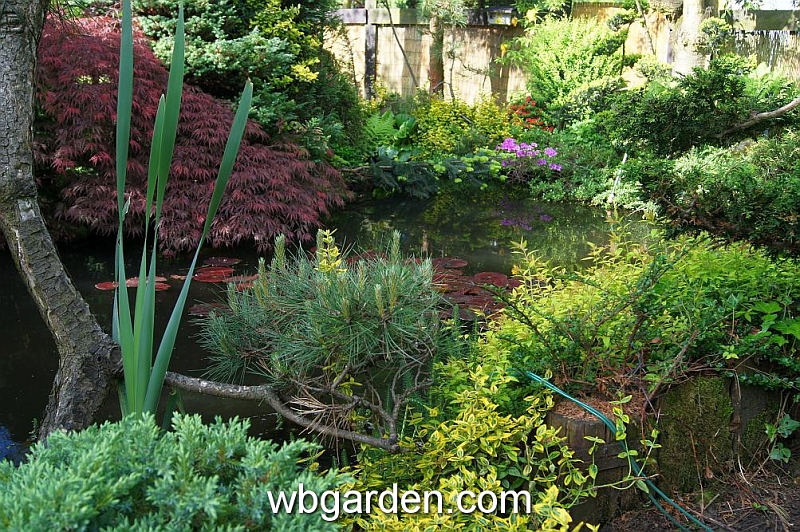 wbgarden spring 32.JPG